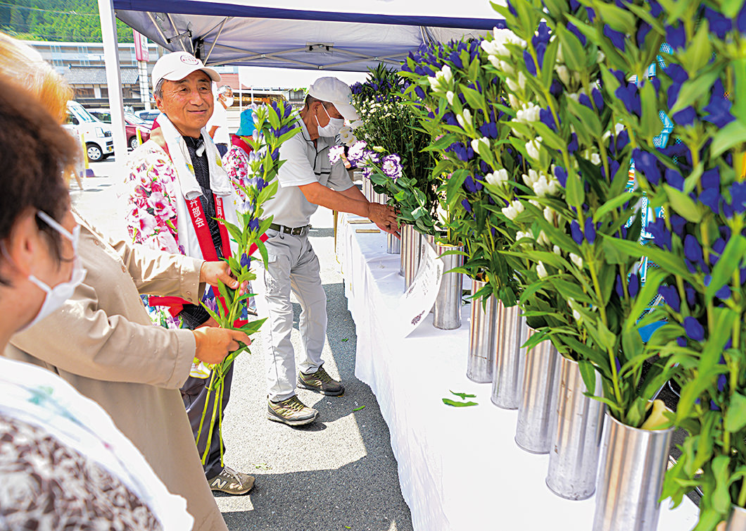 鮮やかでボリュームのある花姿が来場者を魅了の写真