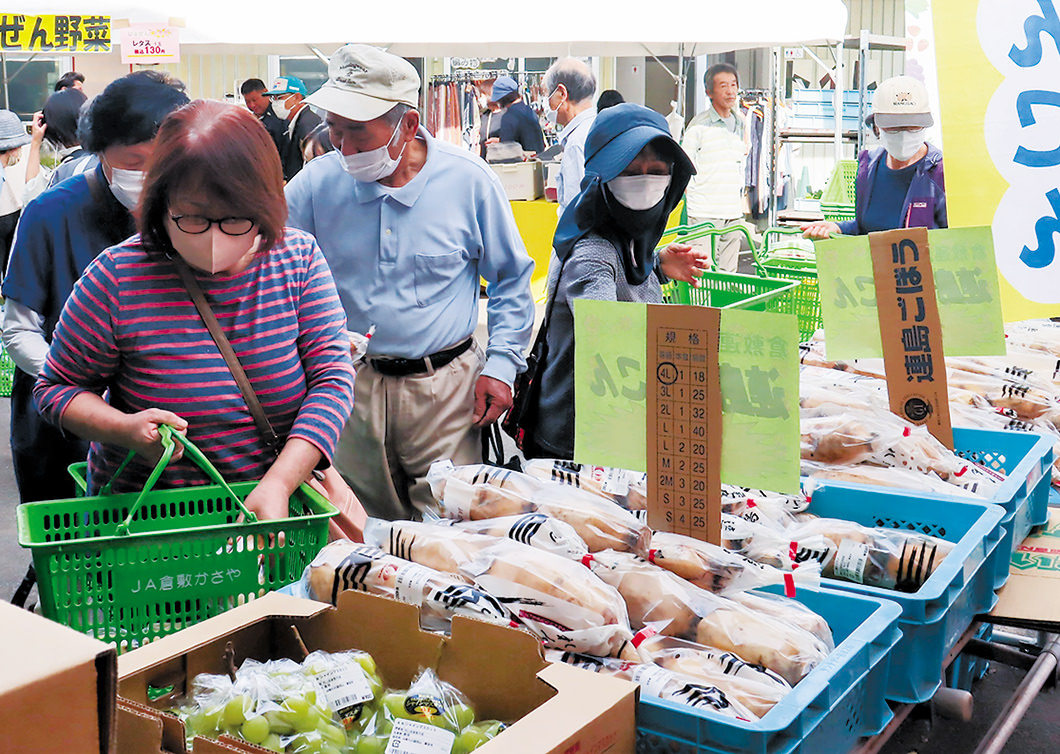 ひときわ目を引く地元特産「連島れんこん」や「連島ごぼう」の写真