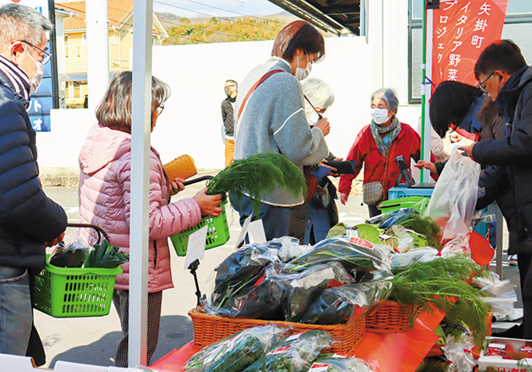 イタリア野菜など地元の新鮮野菜がずらりと並んだの写真