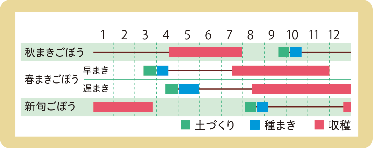 スケジュール