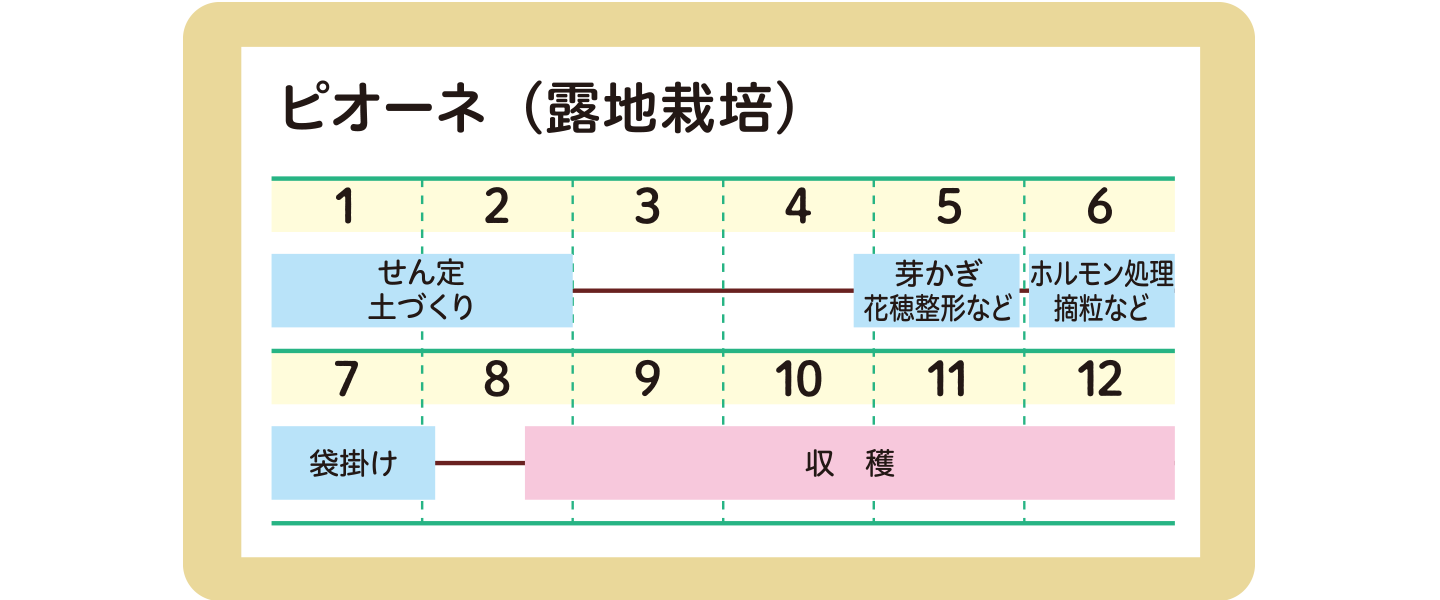 スケジュール