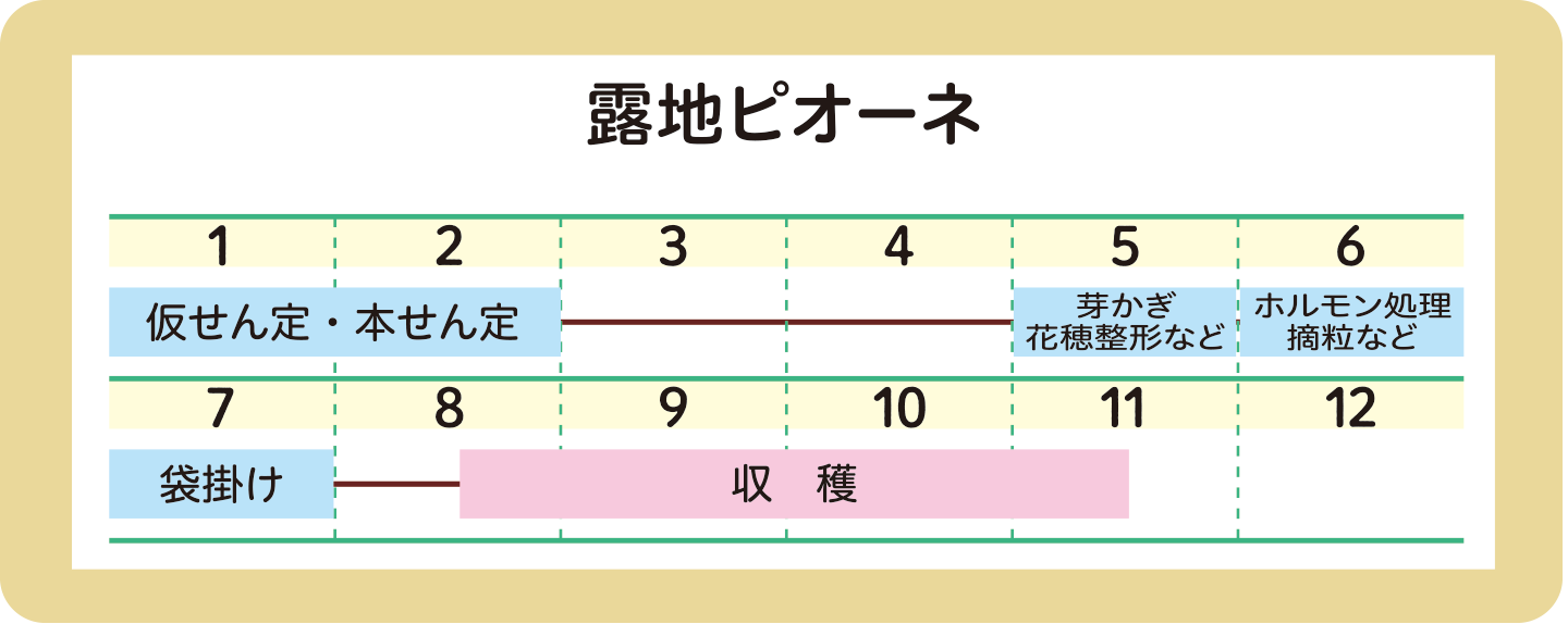 スケジュール
