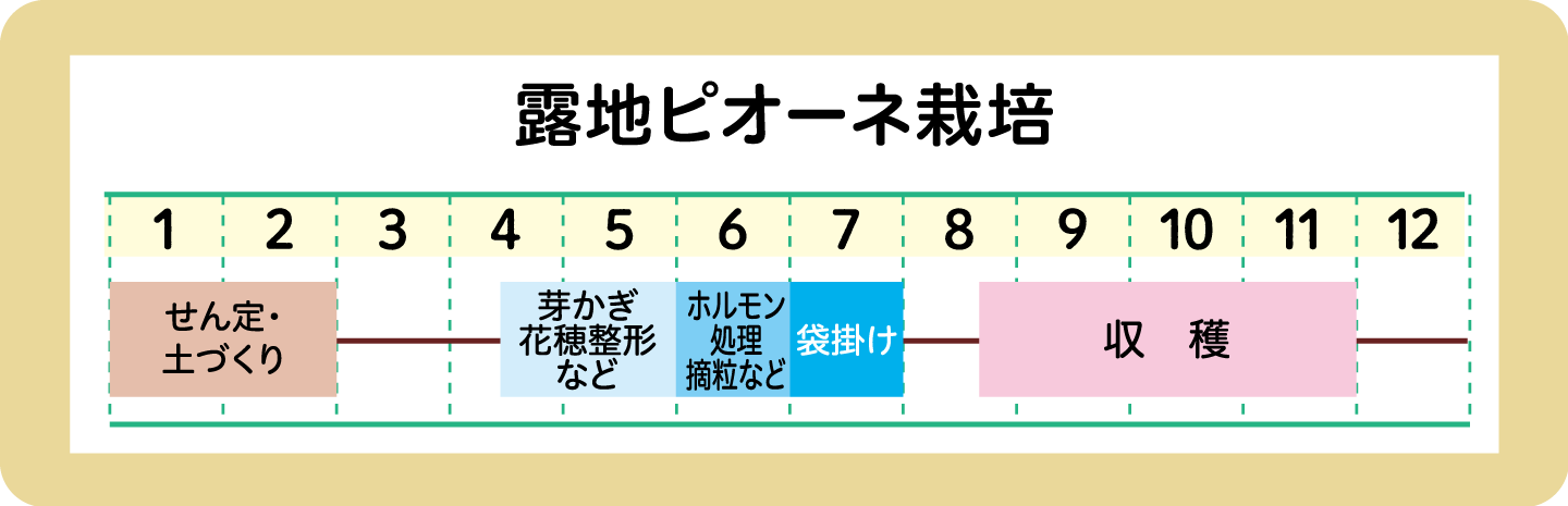 スケジュール