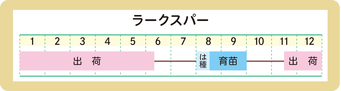 スケジュール