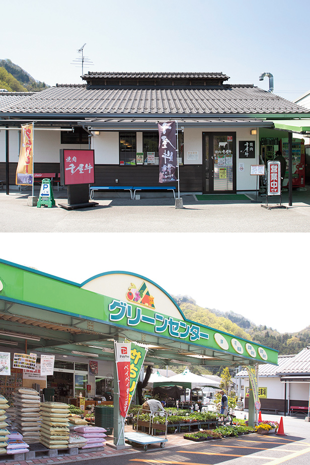 (写真上)焼肉千屋牛、(写真下)グリーンセンター