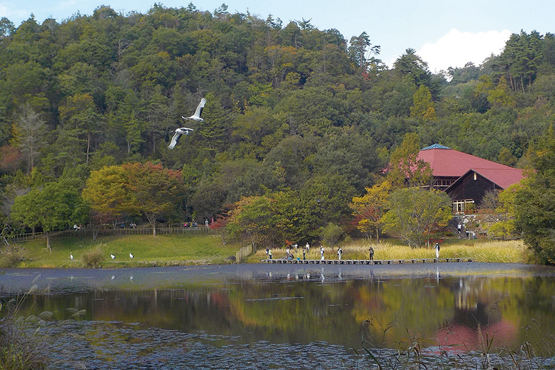 岡山県自然保護センターの写真1