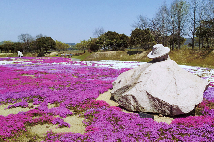 花壇の写真