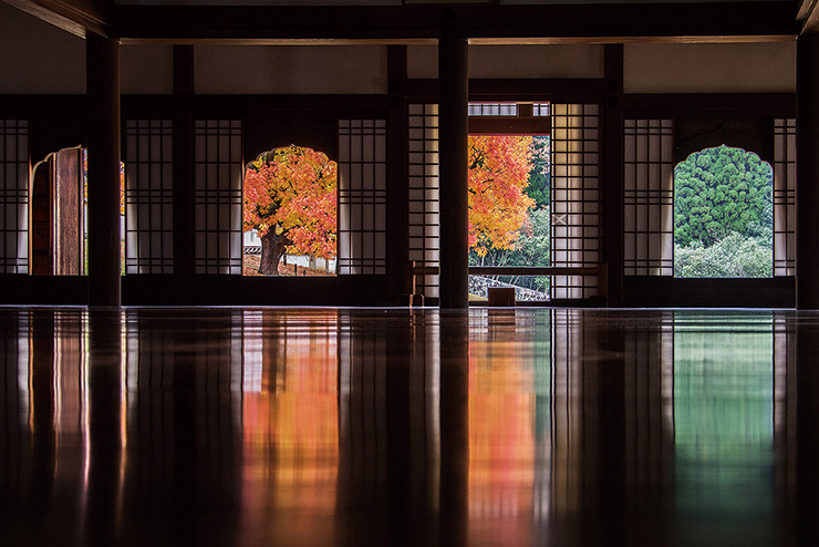 磨きあげられた床に鏡のように写し出される色づいた楷の木