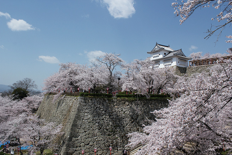 津山城（鶴山公園）の写真