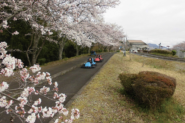 公園の写真