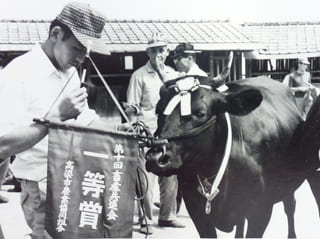 昭和50年頃の家畜市場での共進会の風景の写真2