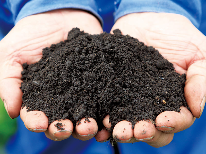 黒ボクと呼ばれる肥沃な土壌の土を手に乗せた写真