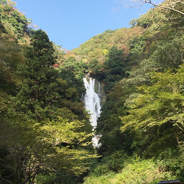 神庭の滝の写真