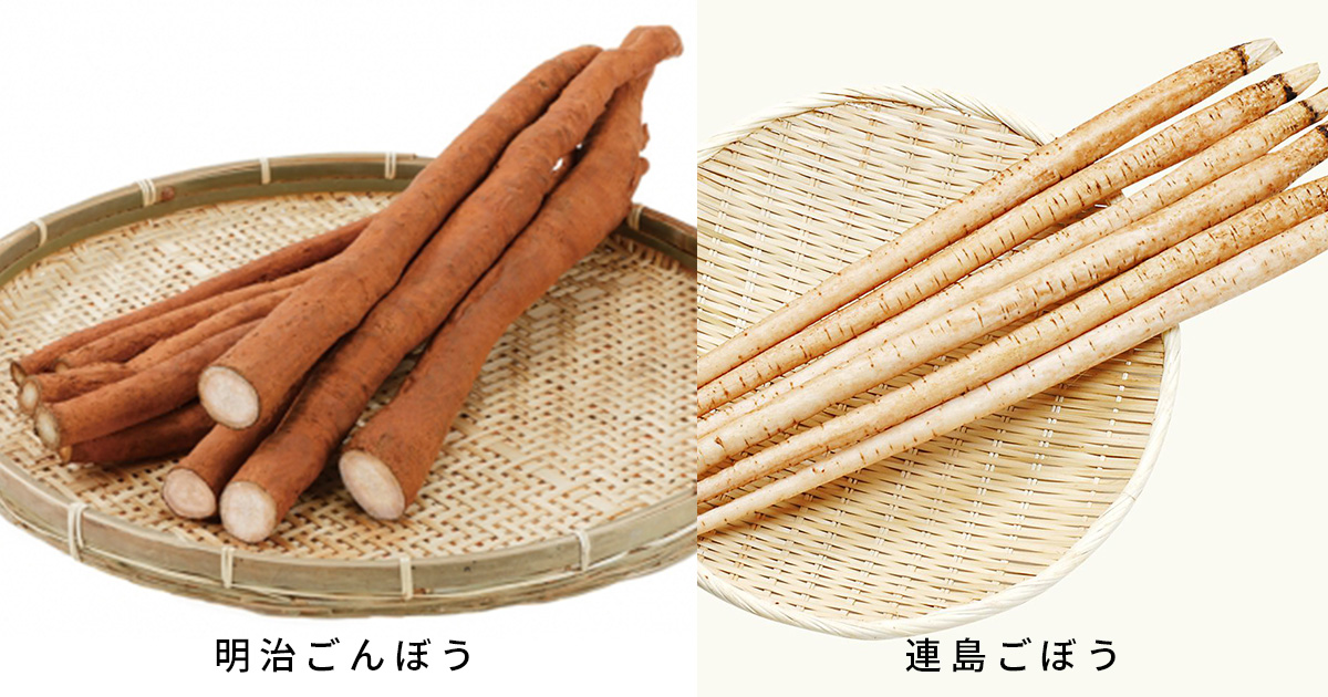 ゴボウ Ja晴れの国岡山