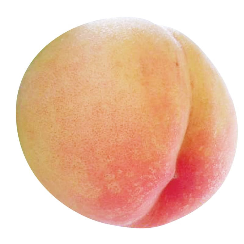 桃の品種「日川白鳳」の写真