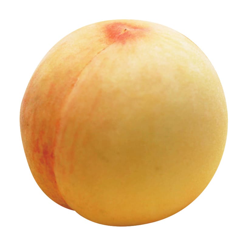 桃の品種「黄金桃」の写真