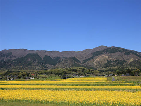 那岐山の風景写真