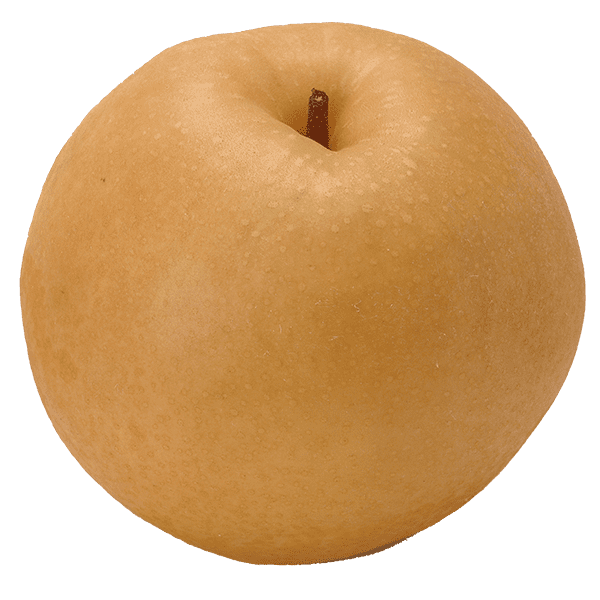 形の整った梨の写真