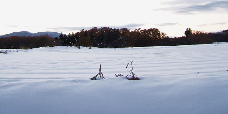 雪が積もった冬の田んぼの写真