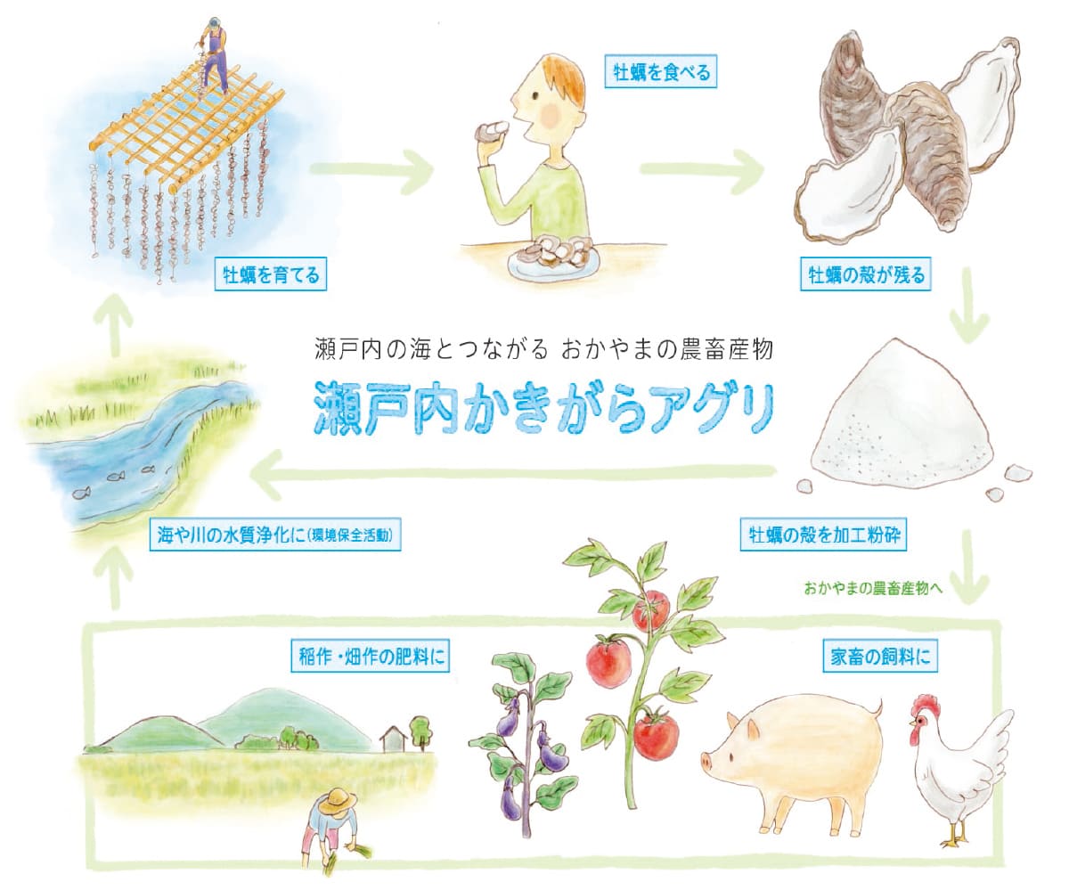 循環環境保全型事業「瀬戸内かきがらアグリの概念図