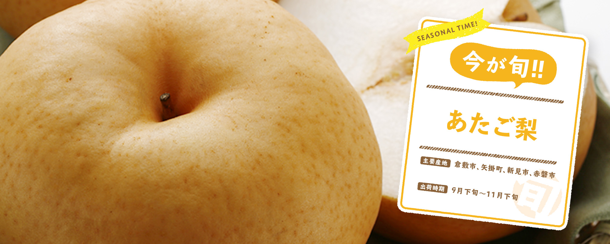 今が旬！あたご梨