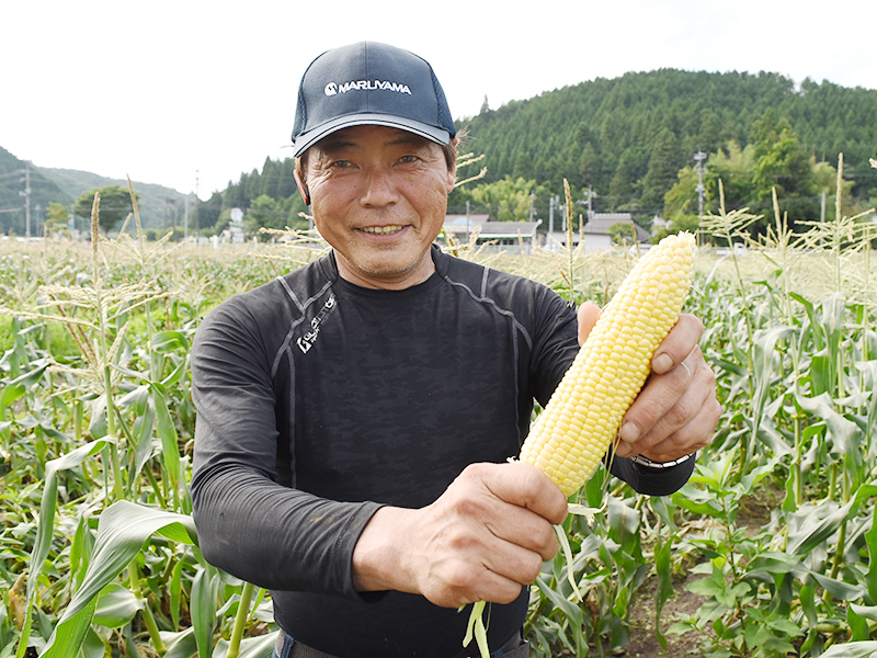 収穫する生産者の写真